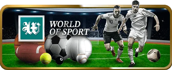 Giao diện thân thiện của Sonbet